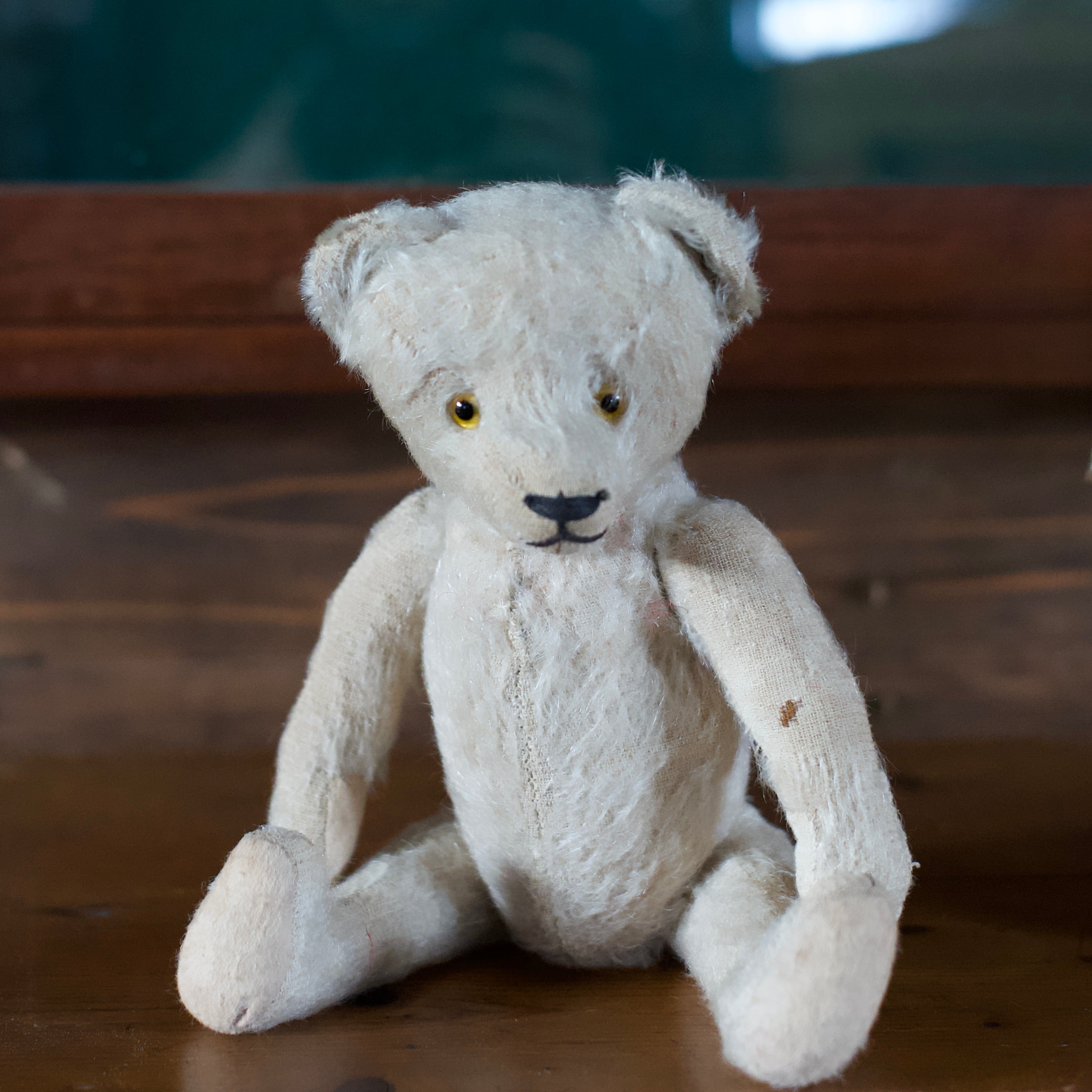 Teddy Bear / テディベア〈 ぬいぐるみ・くま・オブジェ・ディスプレイ