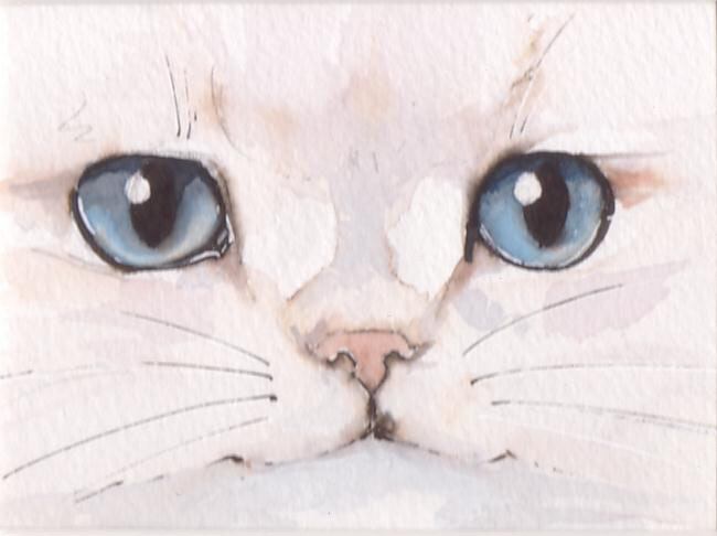 水彩画 猫 | Sosakusya 創作社