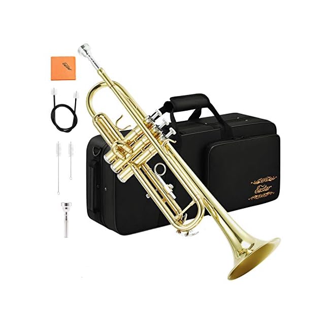 限定生産】ディスク45弁 縦置き型ディスクオルゴール | Pay ID