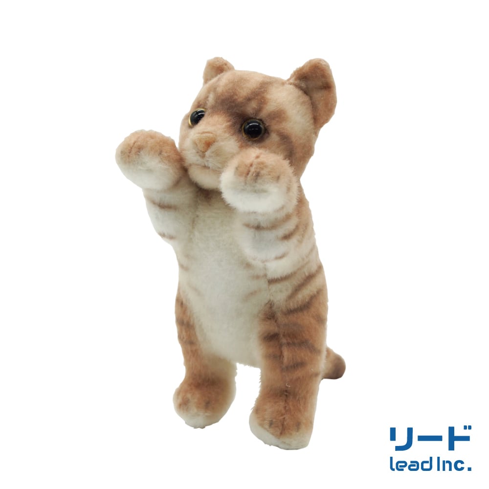 たっちぃZooにゃんこmini エキゾチック | リードのおみせ Catail