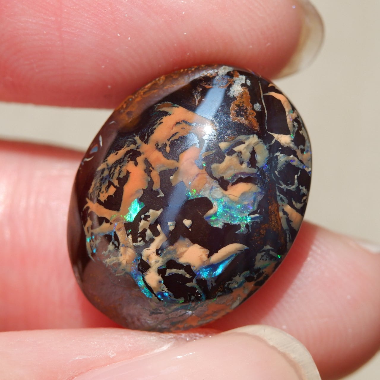 ピクチャーオパール 20215AP54 | 洋灯舎