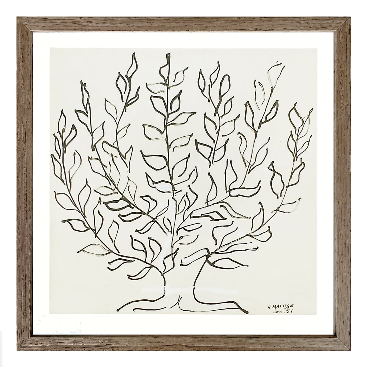 額縁付き] アンリ・マティス「Le platane（低木）」Sサイズ アート