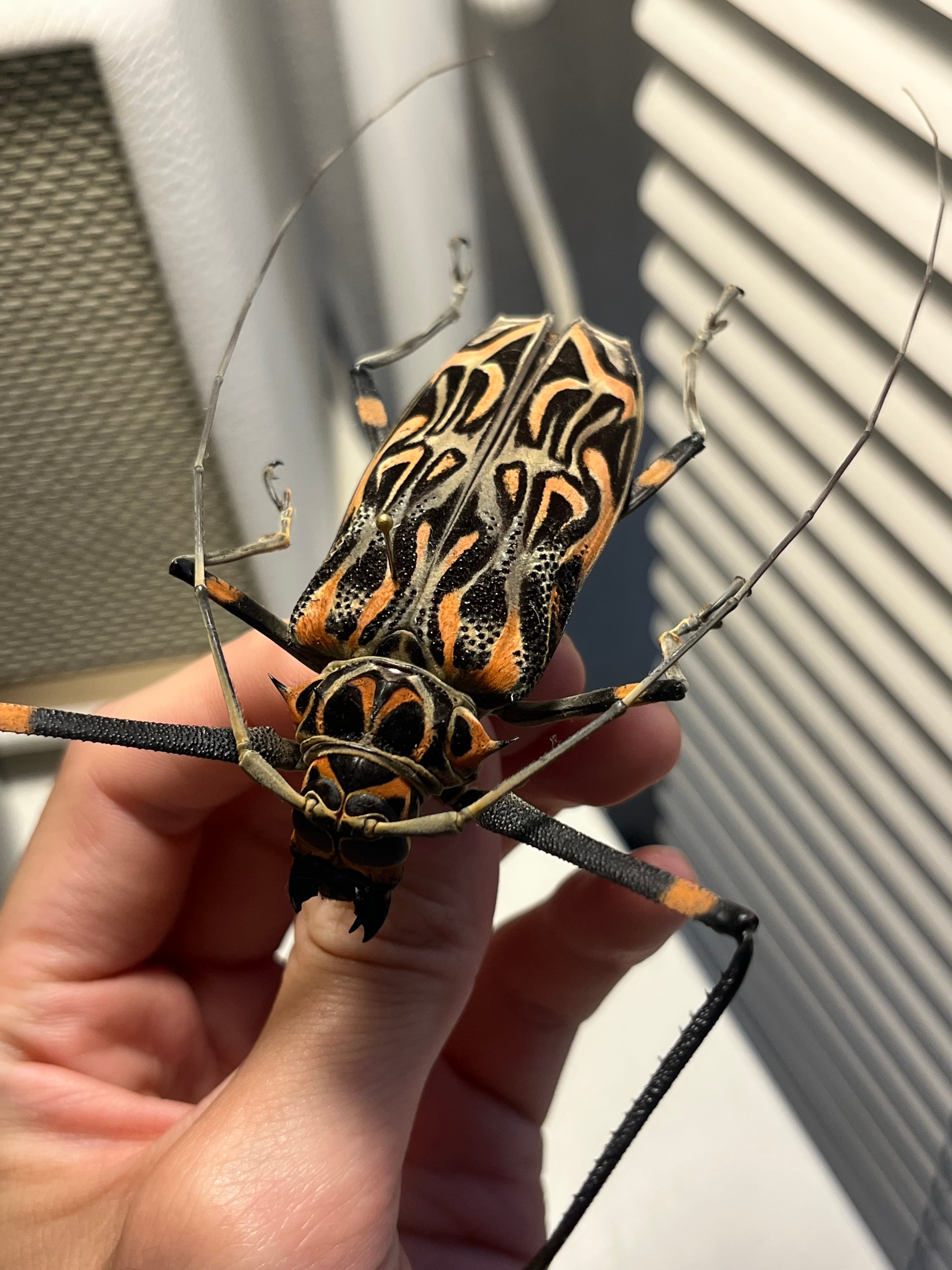 b17741020aea5bc0e7fa34dd05170d