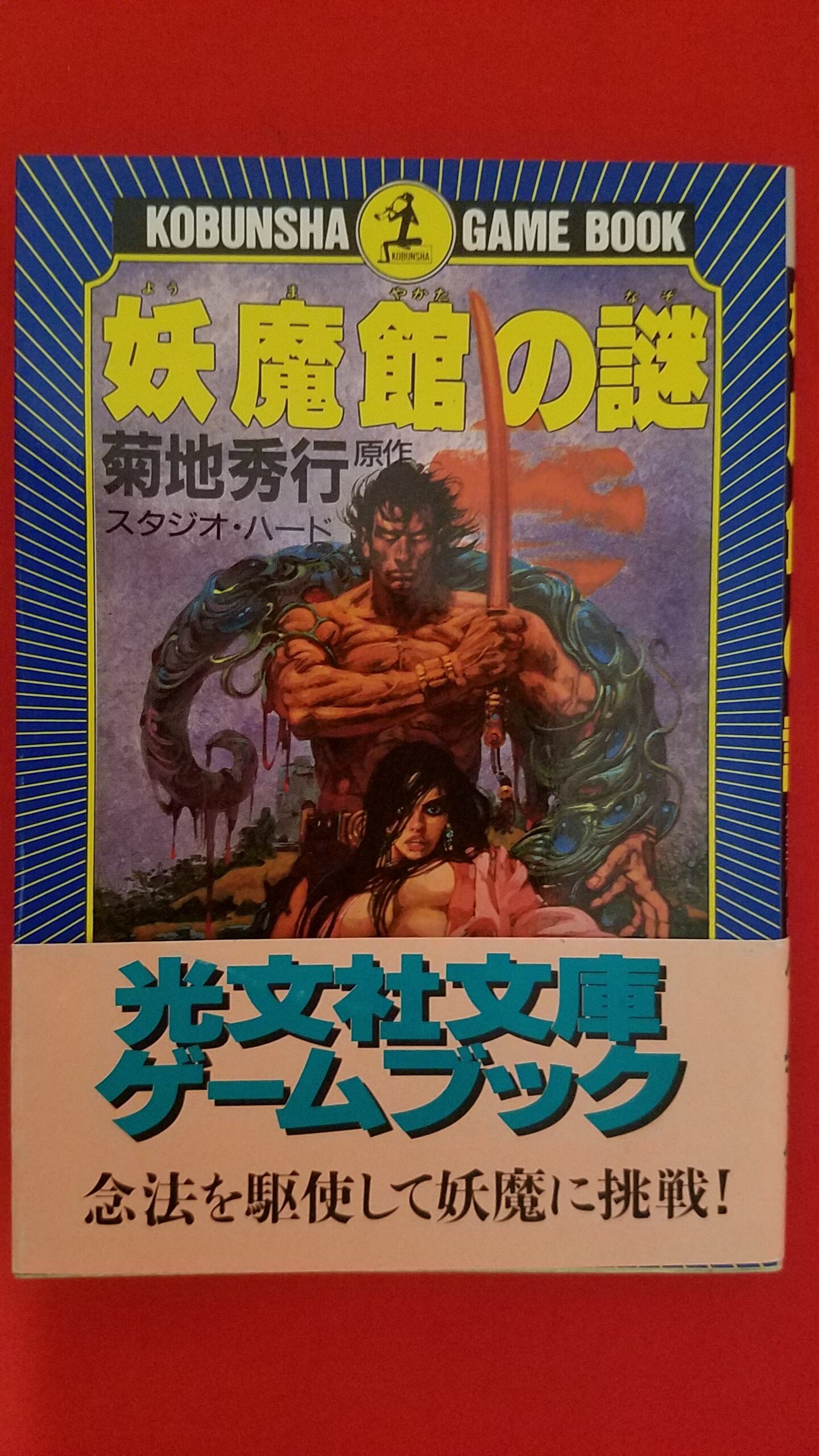 稀少！ アドベンチャーブック 妖魔館の謎 | 冒険浪漫堂