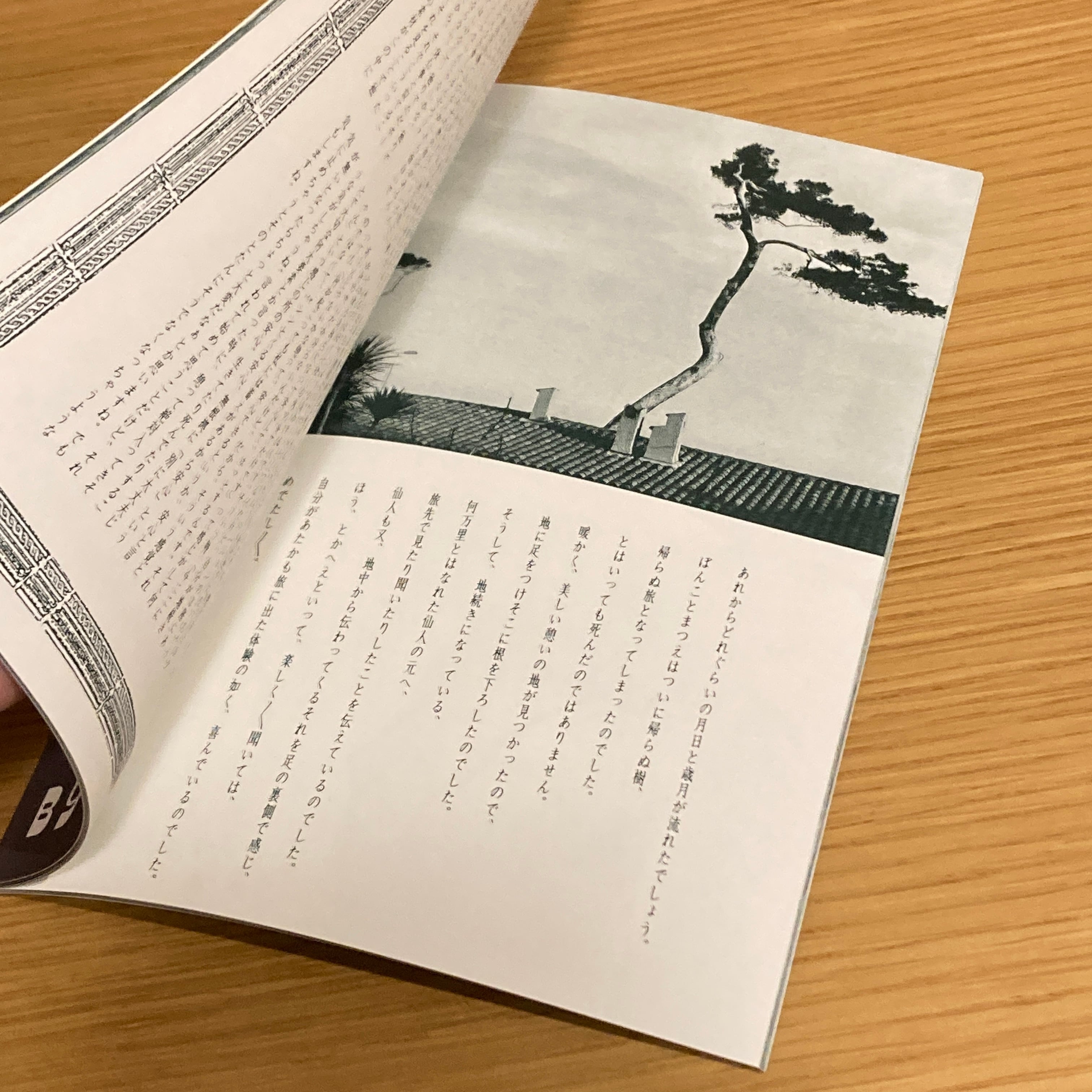 憩写真帖（全12巻セット）/ 沼田元気 | 百年