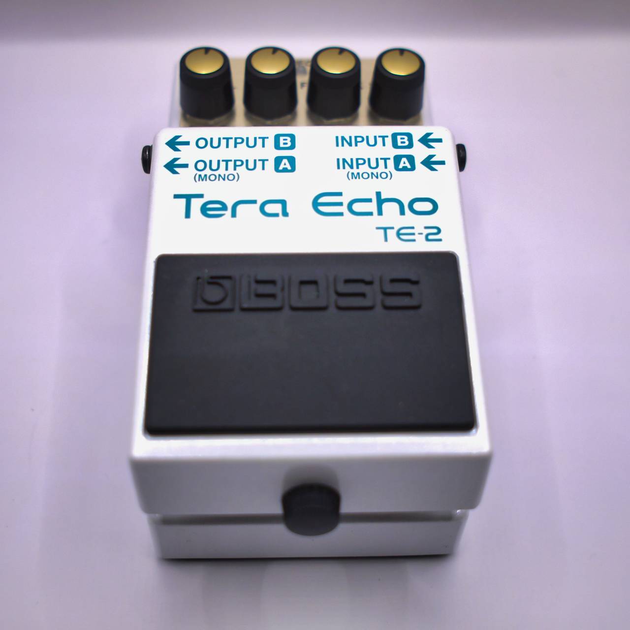 BOSS TE-2 Tera Echo 新感覚の空間系エフェクター | 西尾楽器BASE店