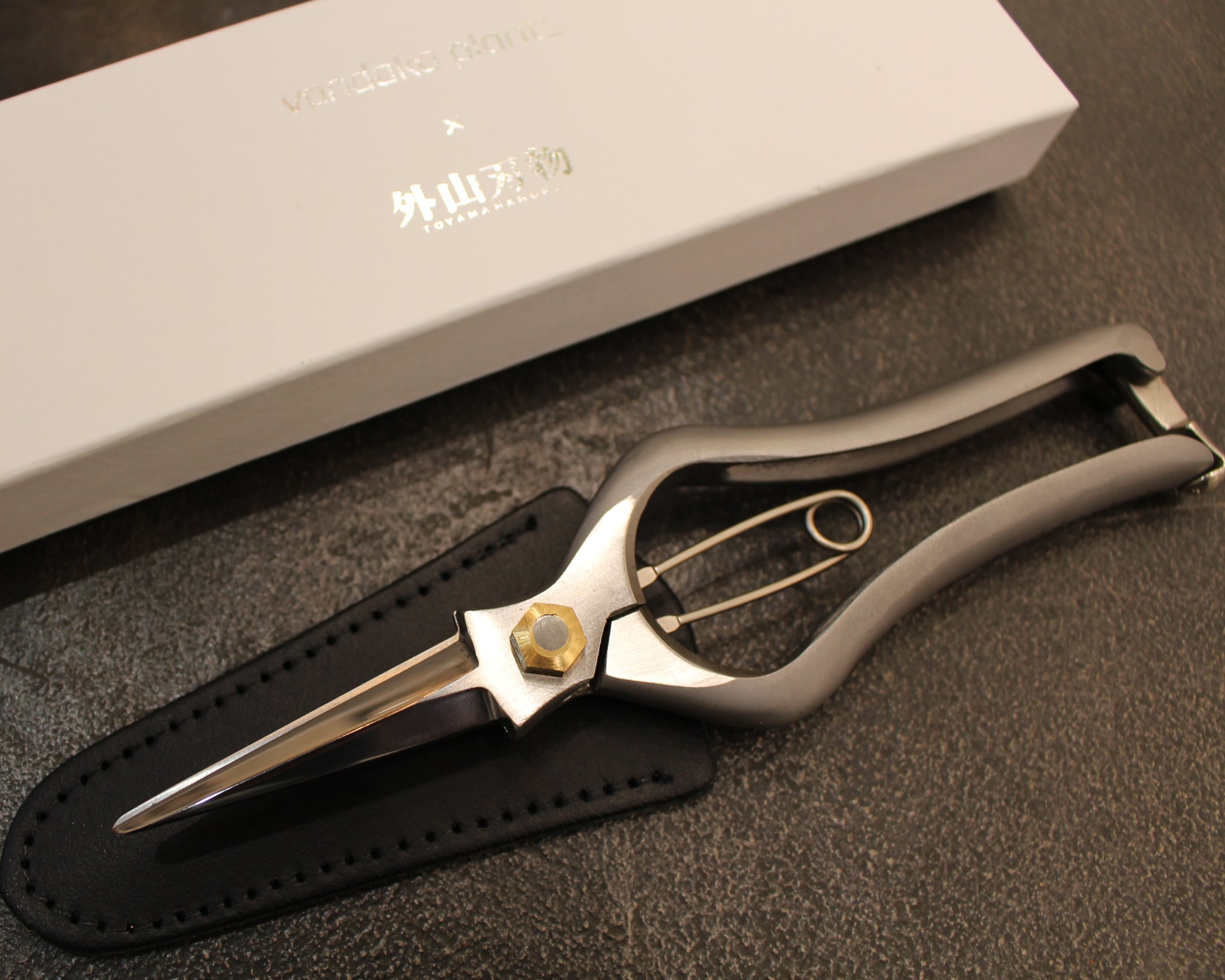 PLATYCERIUM SHEARS vandaka plants × 外山刃物 | vandaka plants