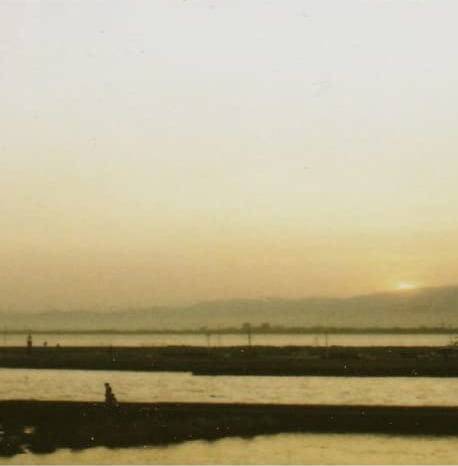 12 & 1 SONG (Remastered Vinyl Edition)(12インチレコード) | 灯台