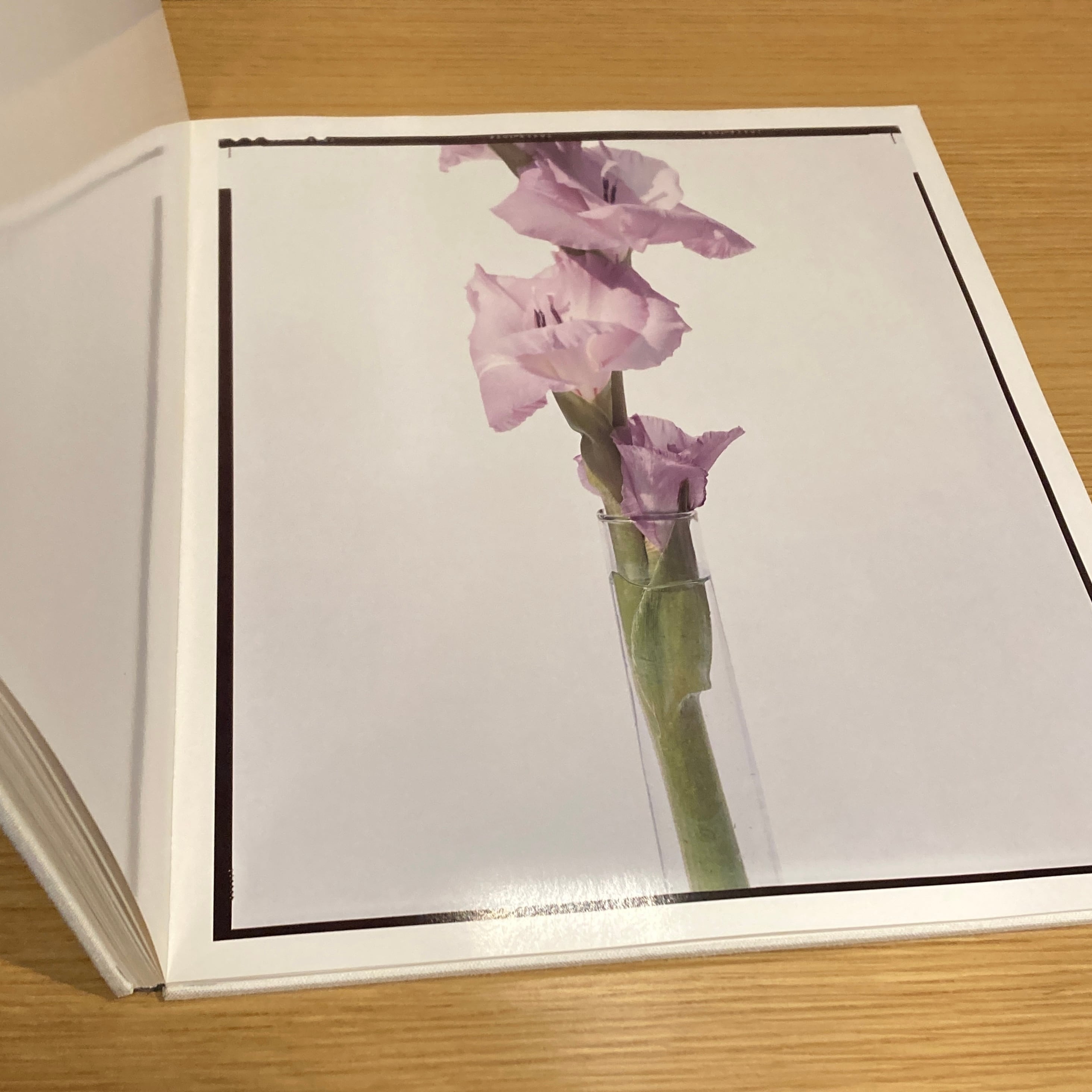 Flowers / 上田義彦 Yoshihiko Ueda | 百年