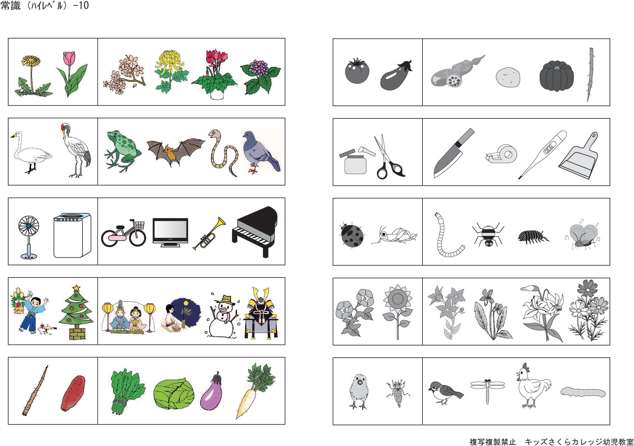 小学校入試分野別問題 常識 ﾊｲﾚﾍﾞﾙ | kidscollege