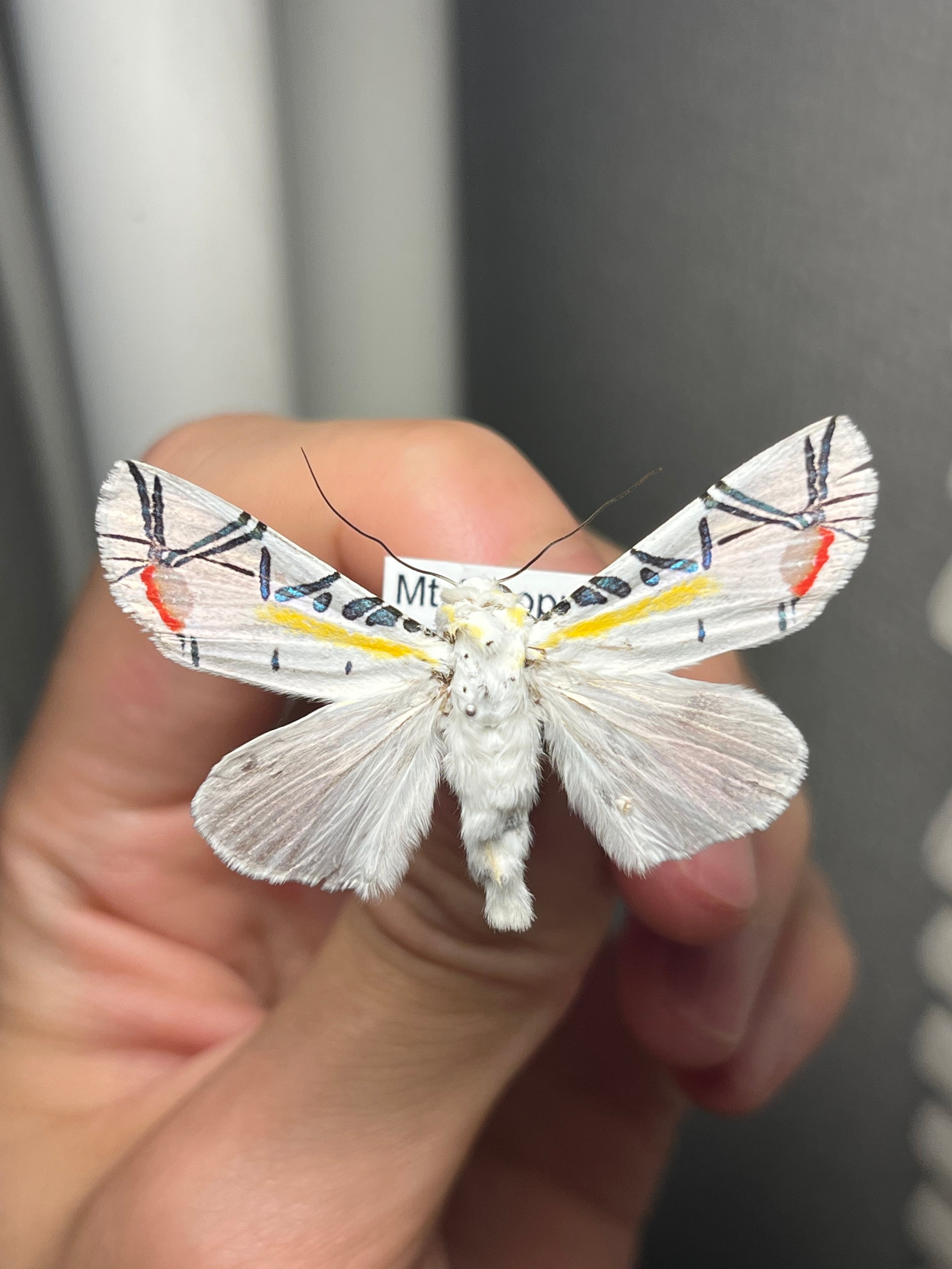 b7dac7eb51fb2f282ac7a11586a44f