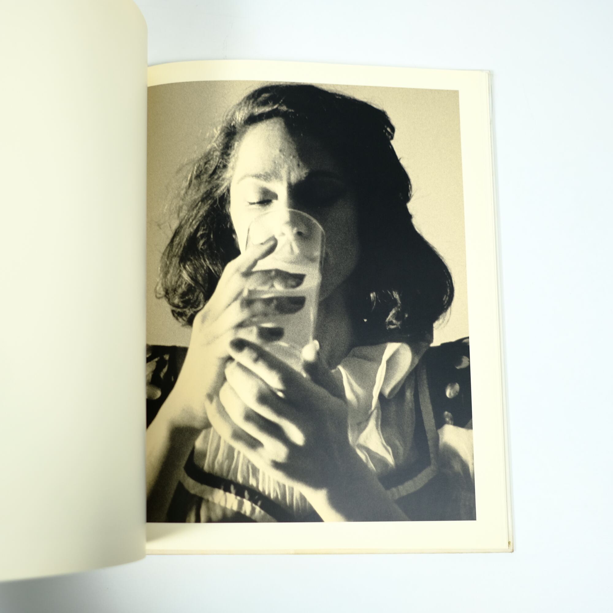 David Salle:davids alle/デヴィッド・サーレ 作品集 David Salle