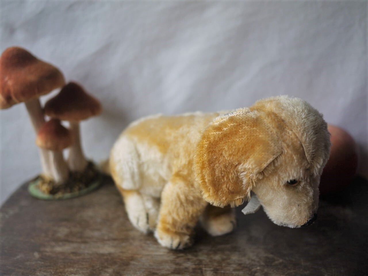 シュタイフ Bazi ダックスフント ドイツ STEIFF | こりすのパン屋Base