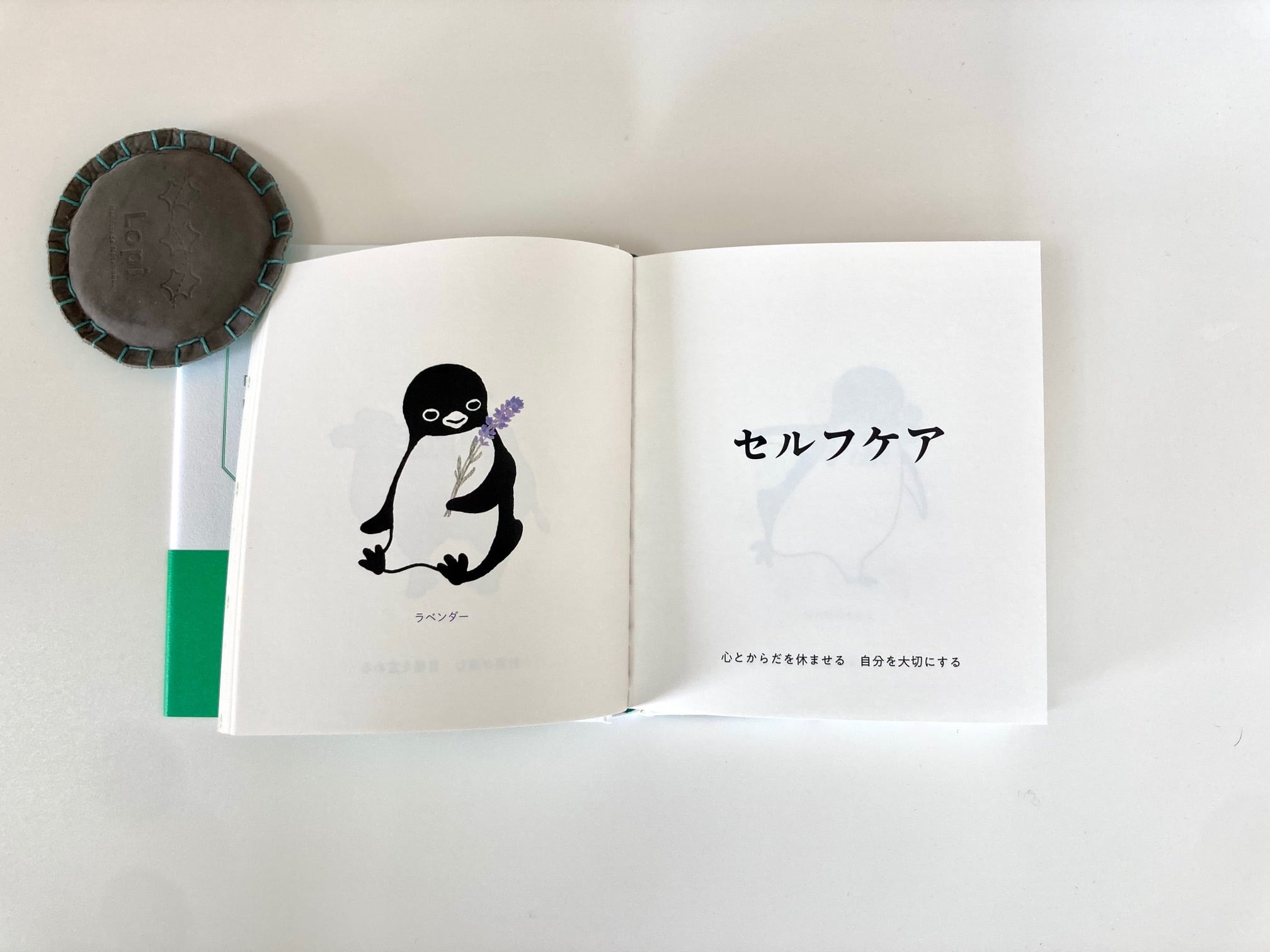 ポストカード付き書籍】『ペンギンうらない カラフル』 | すみれ書房の店