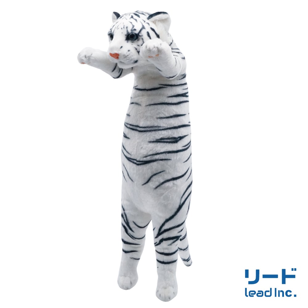 b9672a561b3c7691743fa60fcc93d5