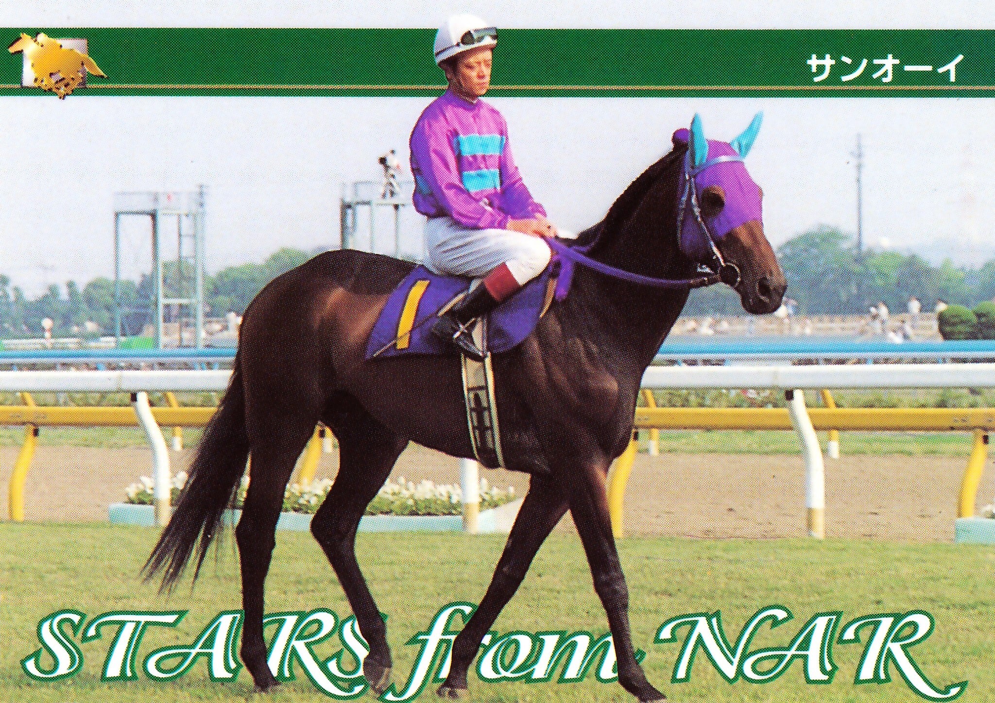 サンオーイ「サラブレッドカード 97年上半期版」No.201 | カード