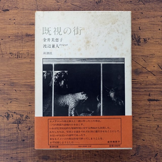 既視の街 渡辺兼人・金井美恵子 | タイムカプセル