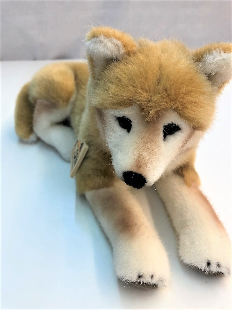 KOSENケーセン社 / 柴犬 伏せ | wg-anne