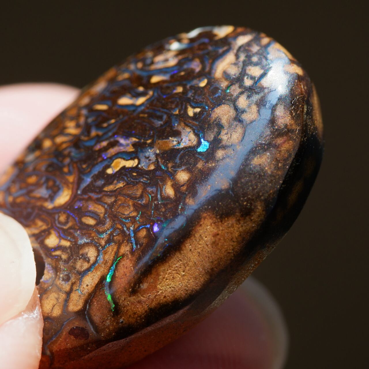 ピクチャーオパール 224-P-67 | 洋灯舎