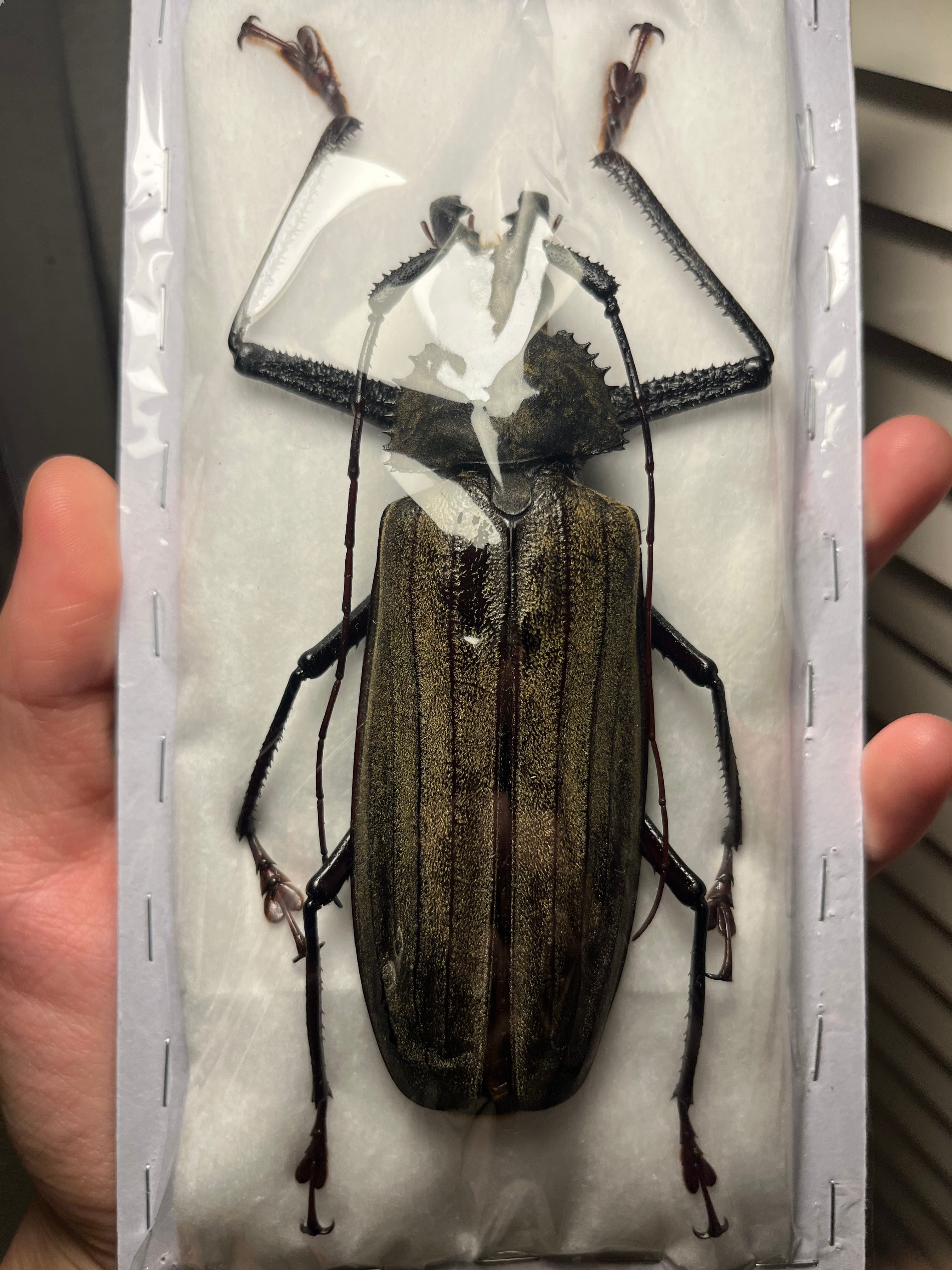 bc2644d86839feb2140bf790556a3d