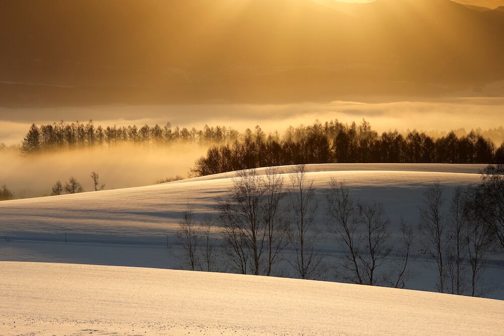 写真家林祐介のグッズ販売