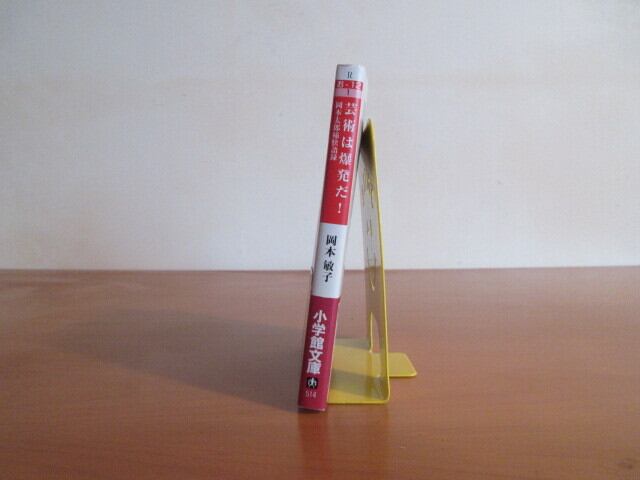 芸術は爆発だ！ 岡本太郎痛快語録』 著：岡本 敏子 | 月面堂