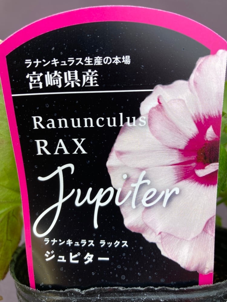 bebdd0c0050875dedcc544c7a33aa5