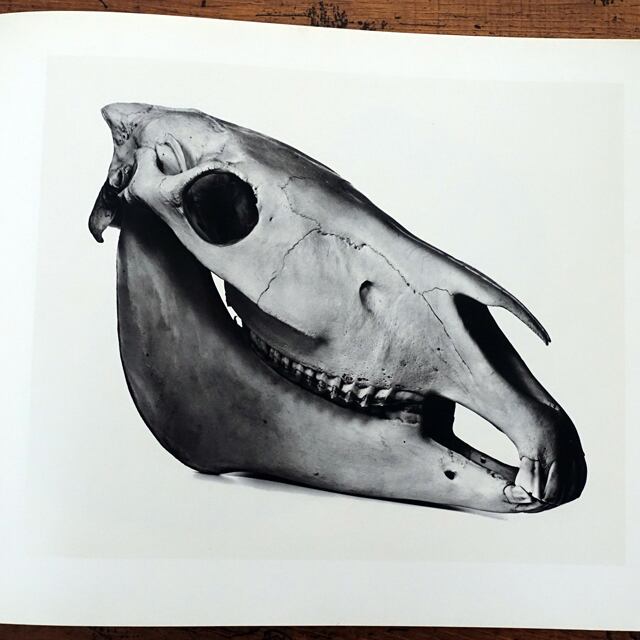 IRVING PENN Cranium Architecture | タイムカプセル