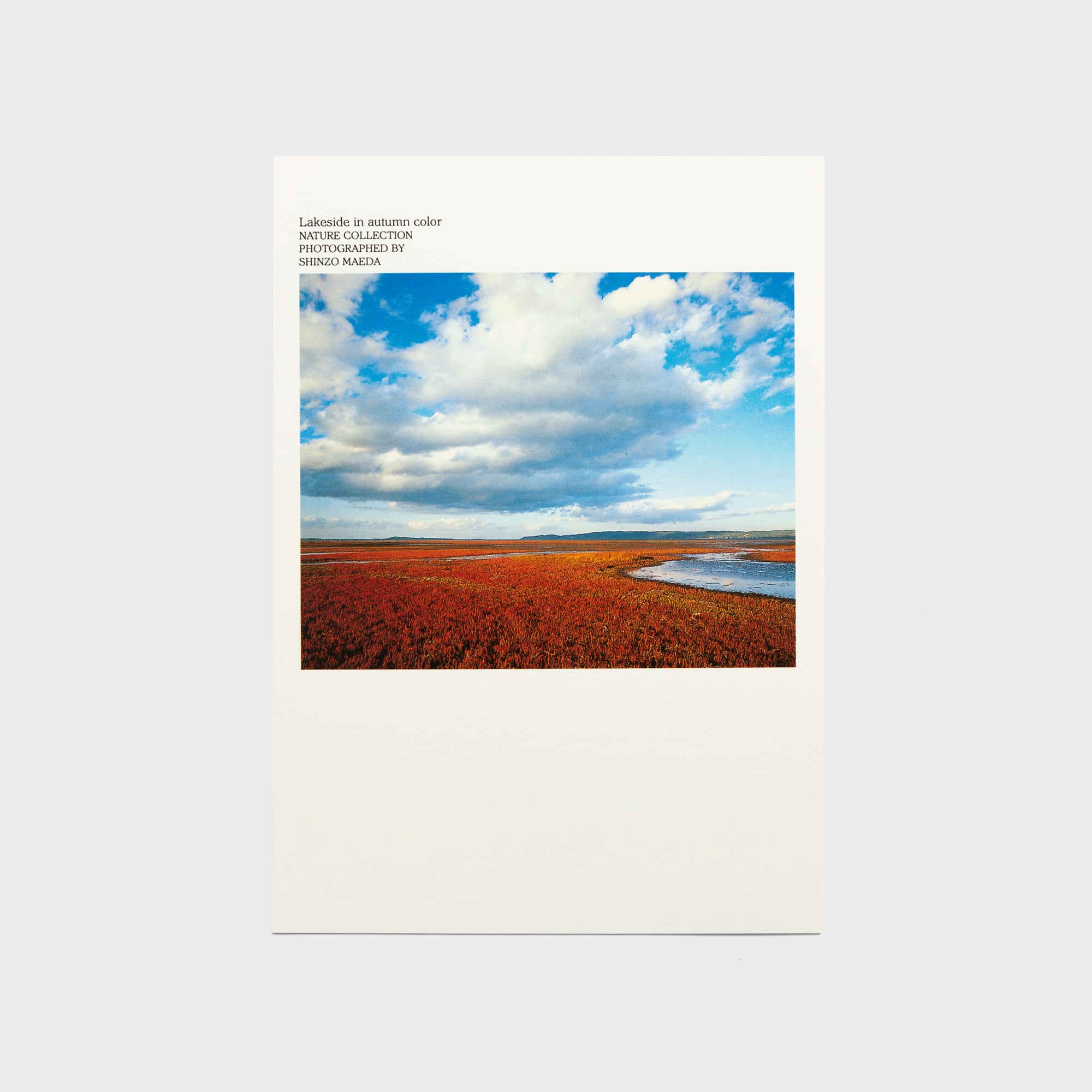 J.GARDEN J庭58 Beltoon backlight トレカ J.GARDEN J庭58 Beltoon