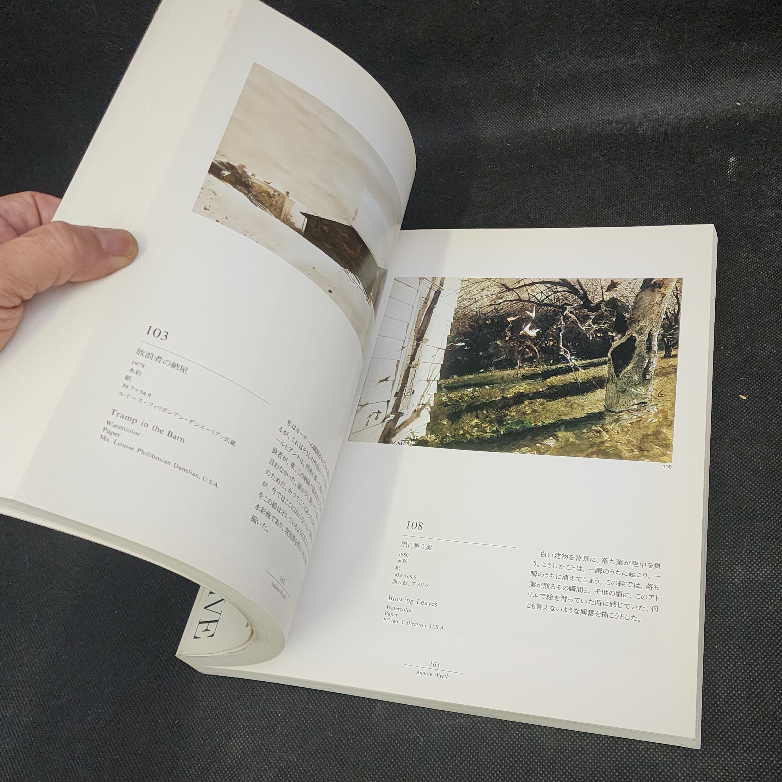 アンドリュー・ワイエス展 1995年 作品図録｜古本 | 古本とうつわと