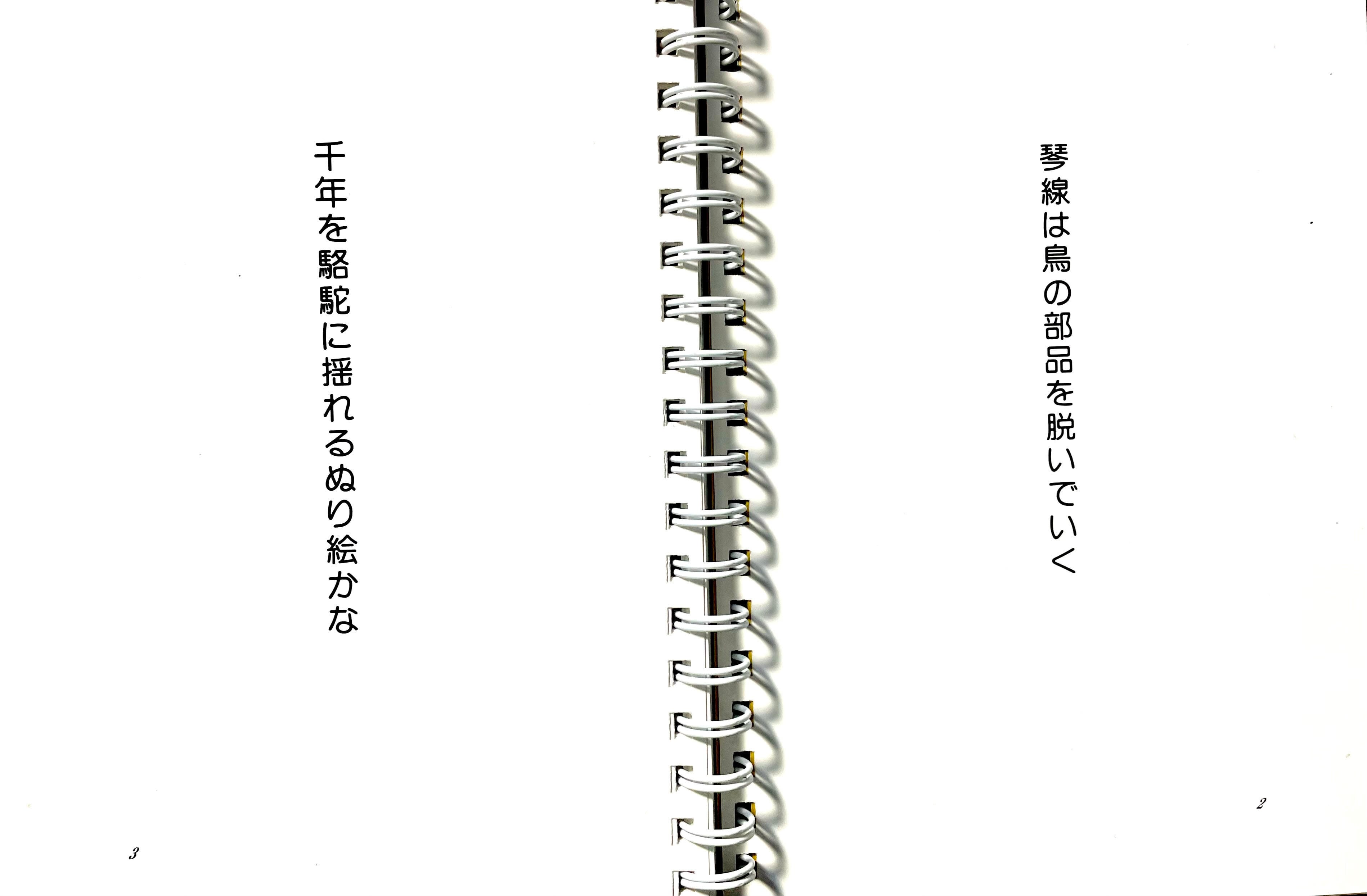 野間幸恵第二句集 「WOMAN」 | 詩歌本の店「満天の星」