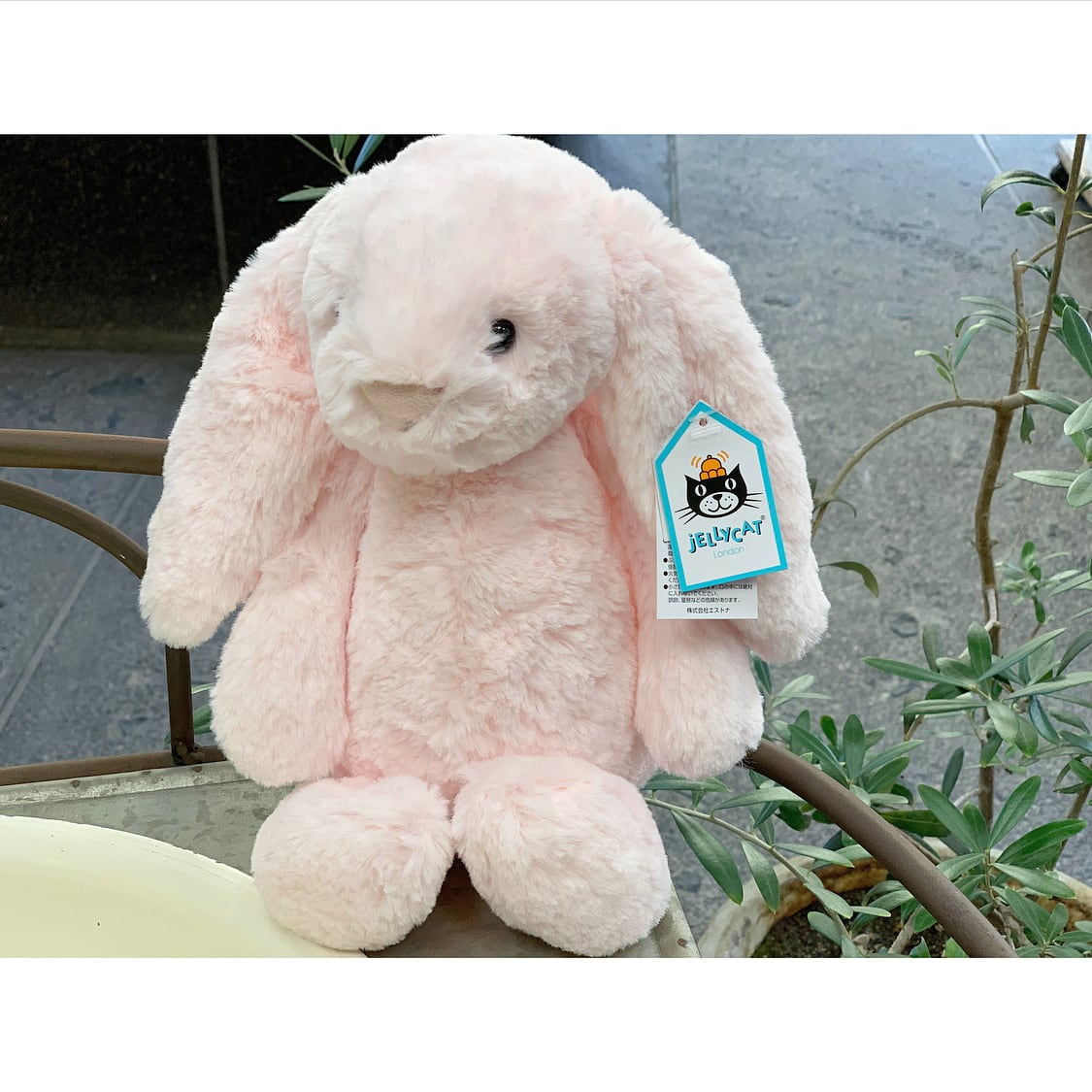 Jelly cat / ジェリーキャット Bashful Pink Bunny Medium ぬいぐるみM