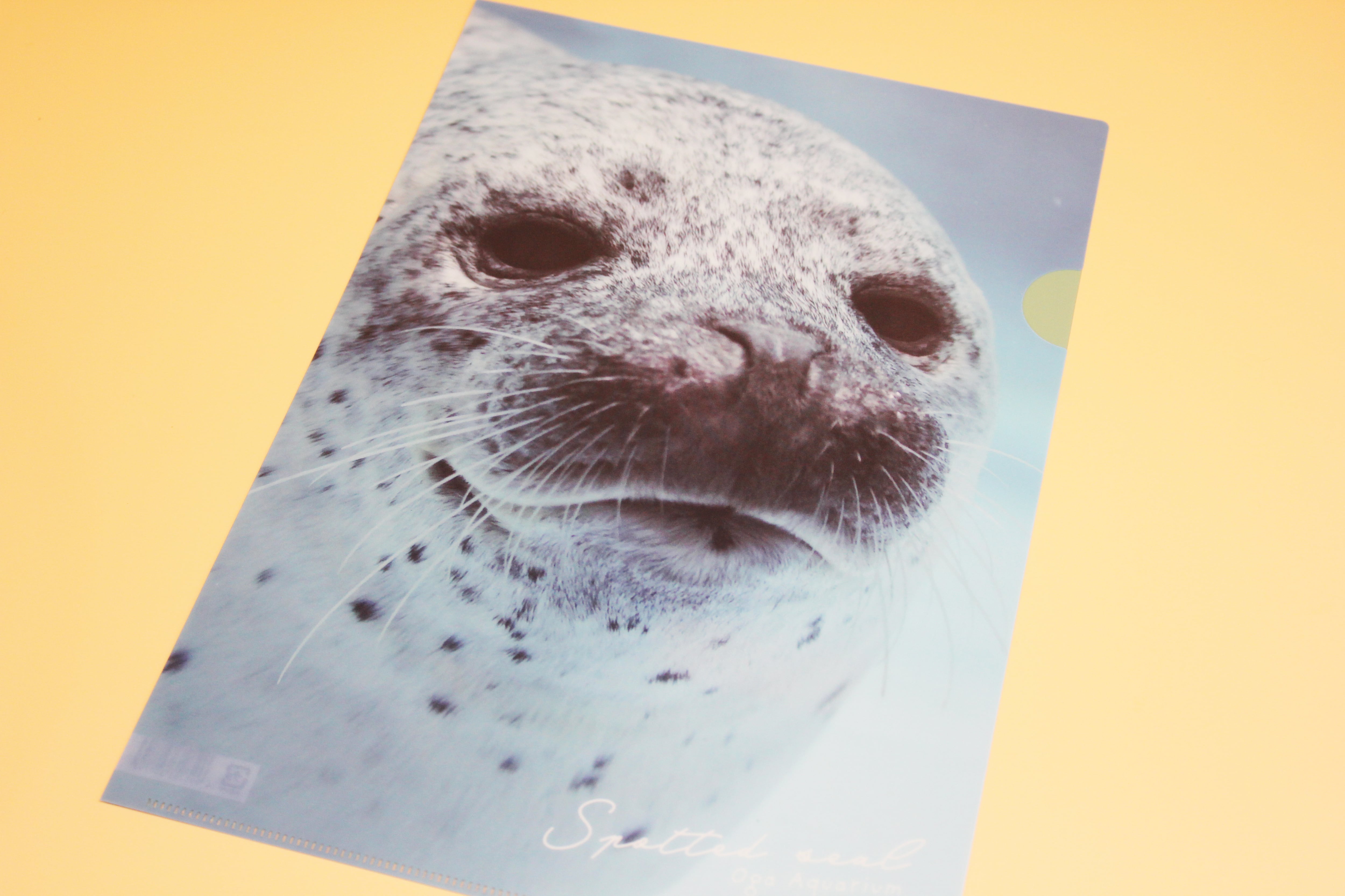 c0294e8cbfb5d9451c18040d39f0a9