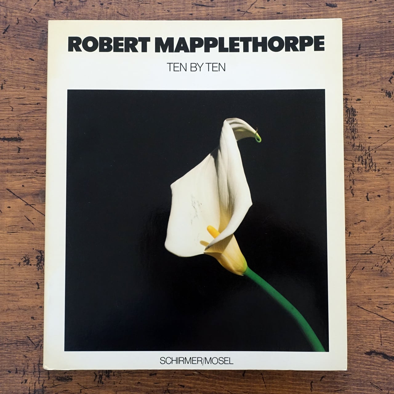 ロバート・メイプルソープMAPPLETHORPE SCHIRMER/MOSEL Robert