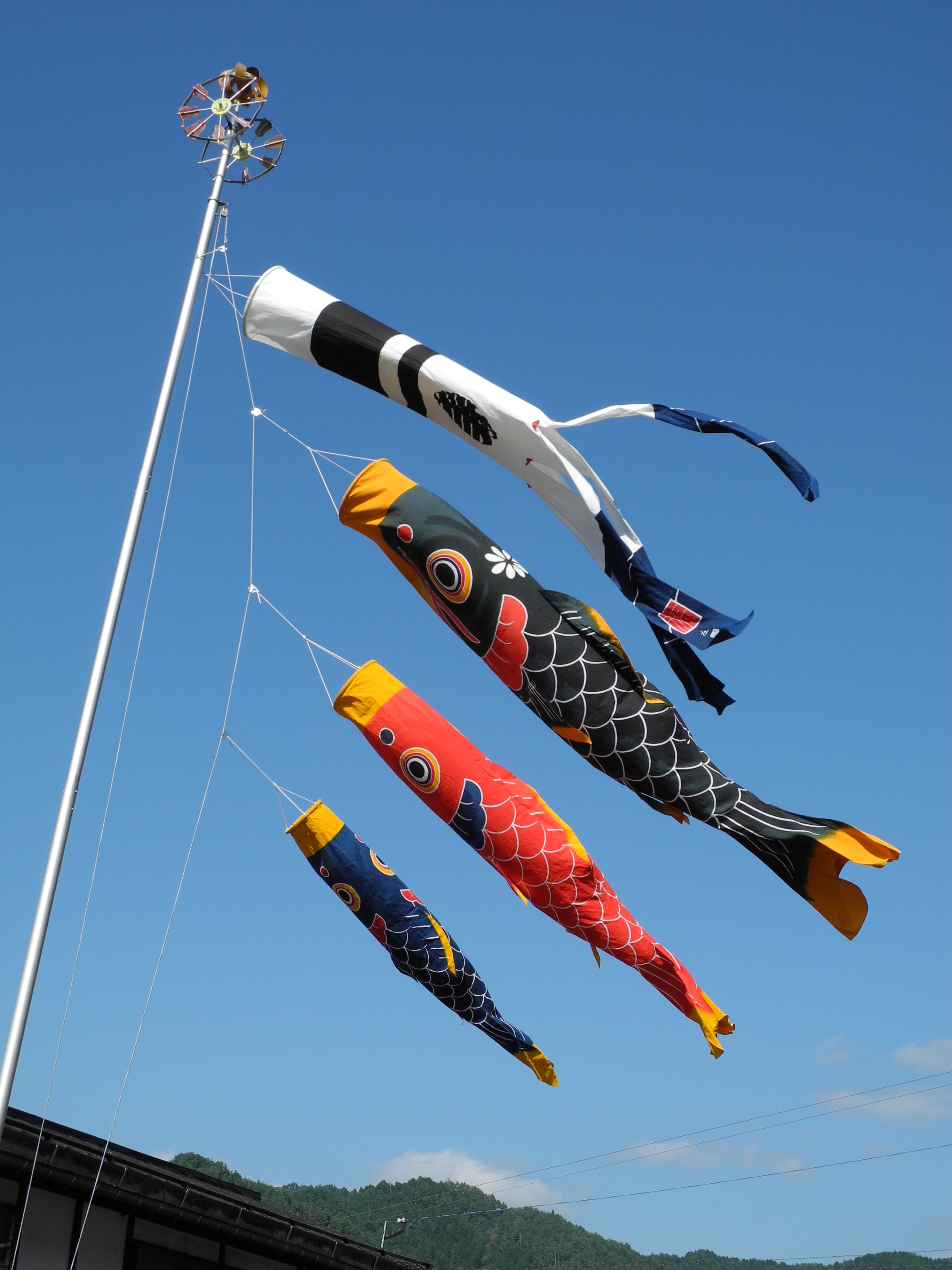 鯉のぼり3間物セット（5.5m鯉のぼりセット） | 郡上本染 渡辺染物店