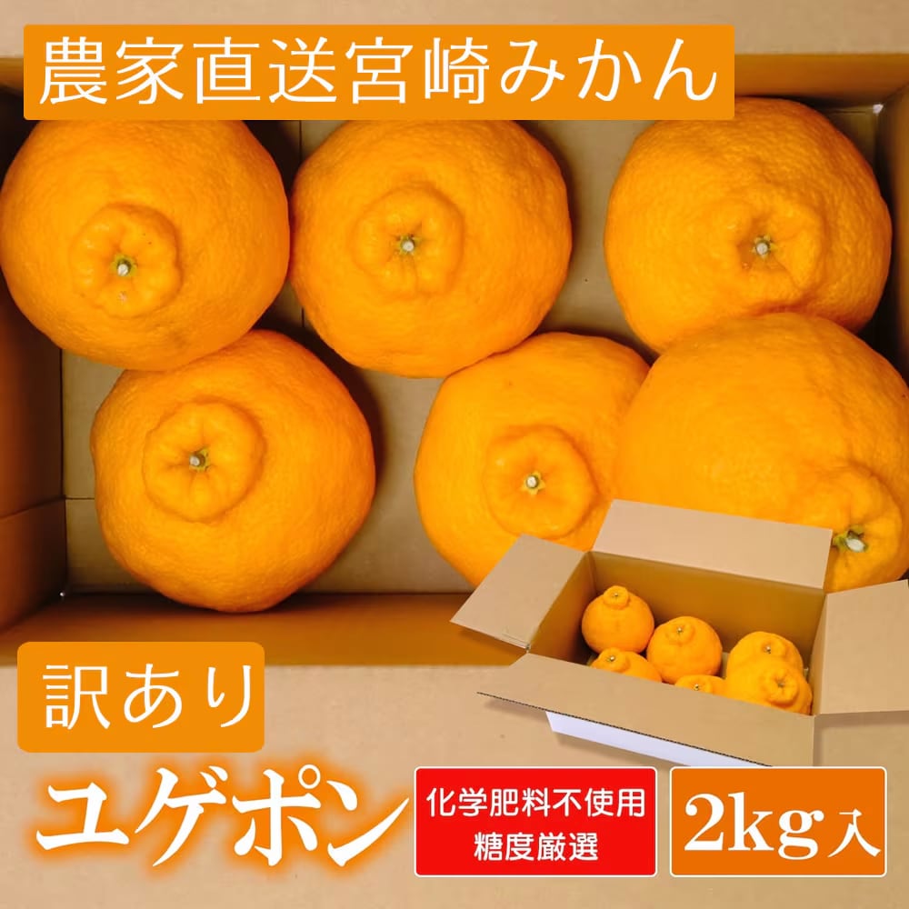 弓削(ゆげ)ふぁーむ ユゲポン 約2kg | VeggieConnect Online Shop