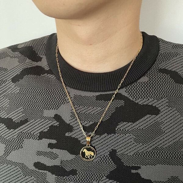 18金×24金】純金PAMホースペンダント ネックレス 金貨 K18 K24