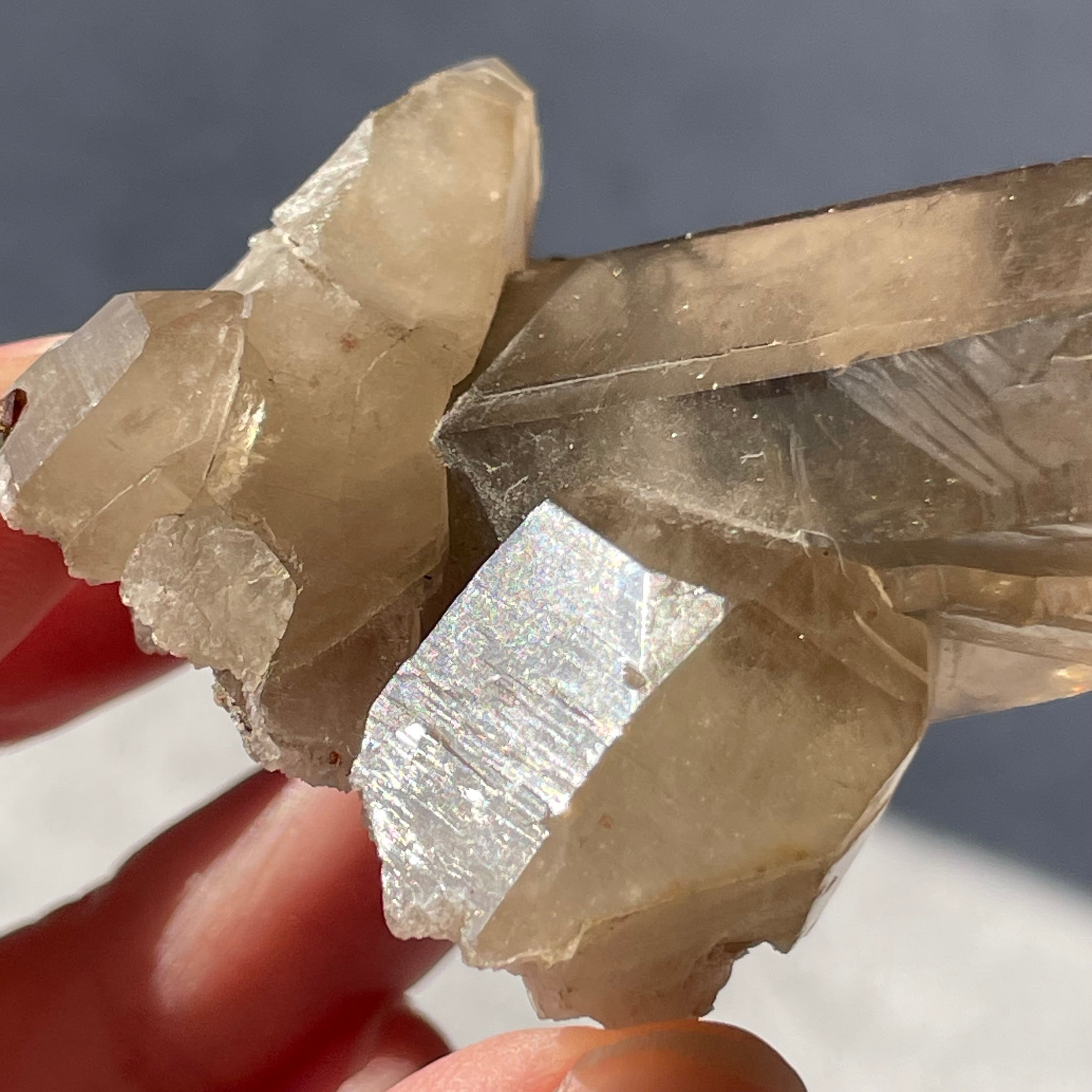 中国 福建省産♦︎SmokyQuartz Garnet|スモーキークォーツ ガーネット