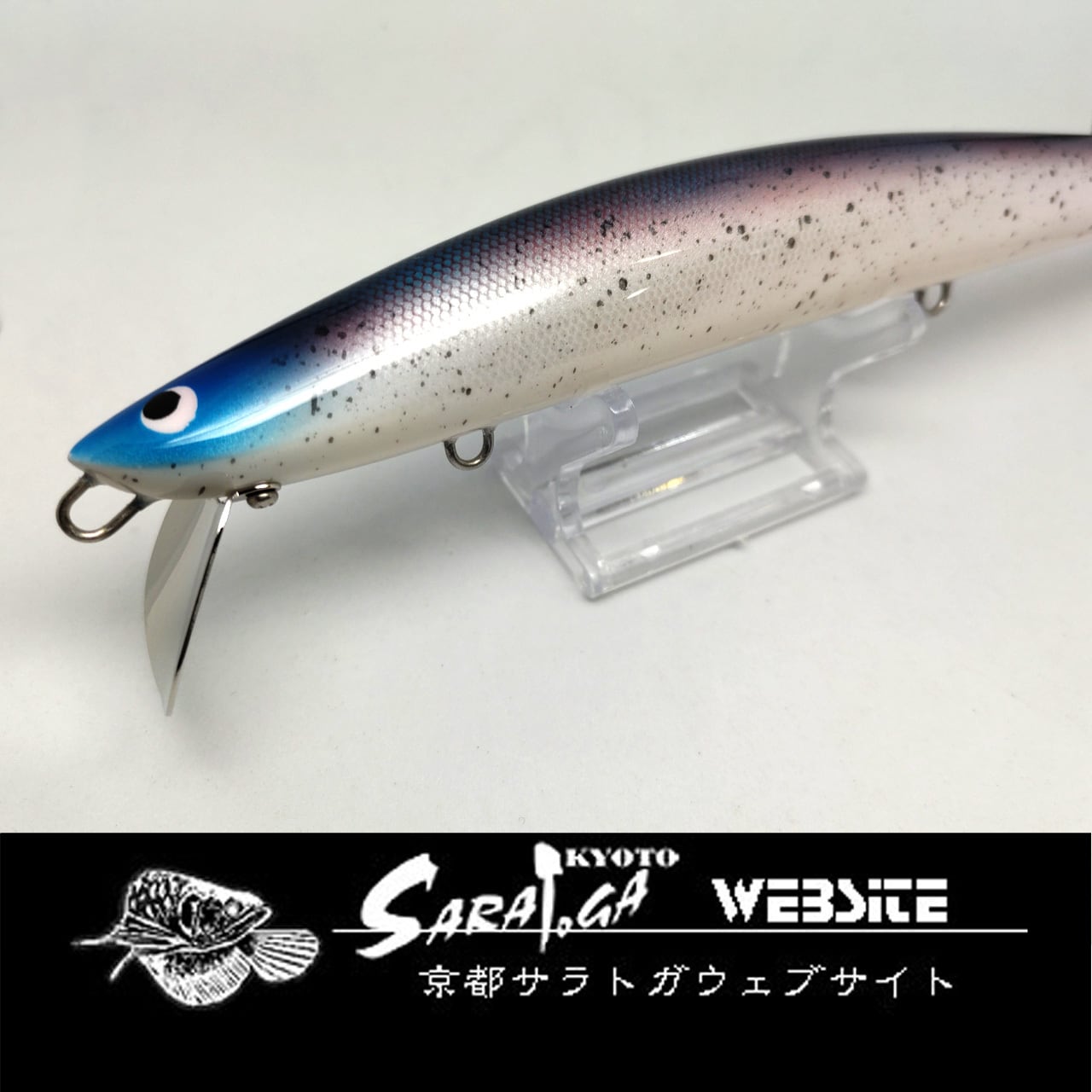 ザウルス ヨルマルミノー | 京都さらとが