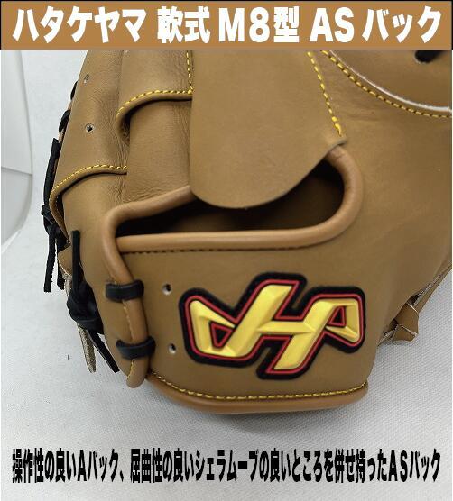 ハタケヤマ 軟式キャッチャーミット 8型(谷繁型)ASバック 【型付け