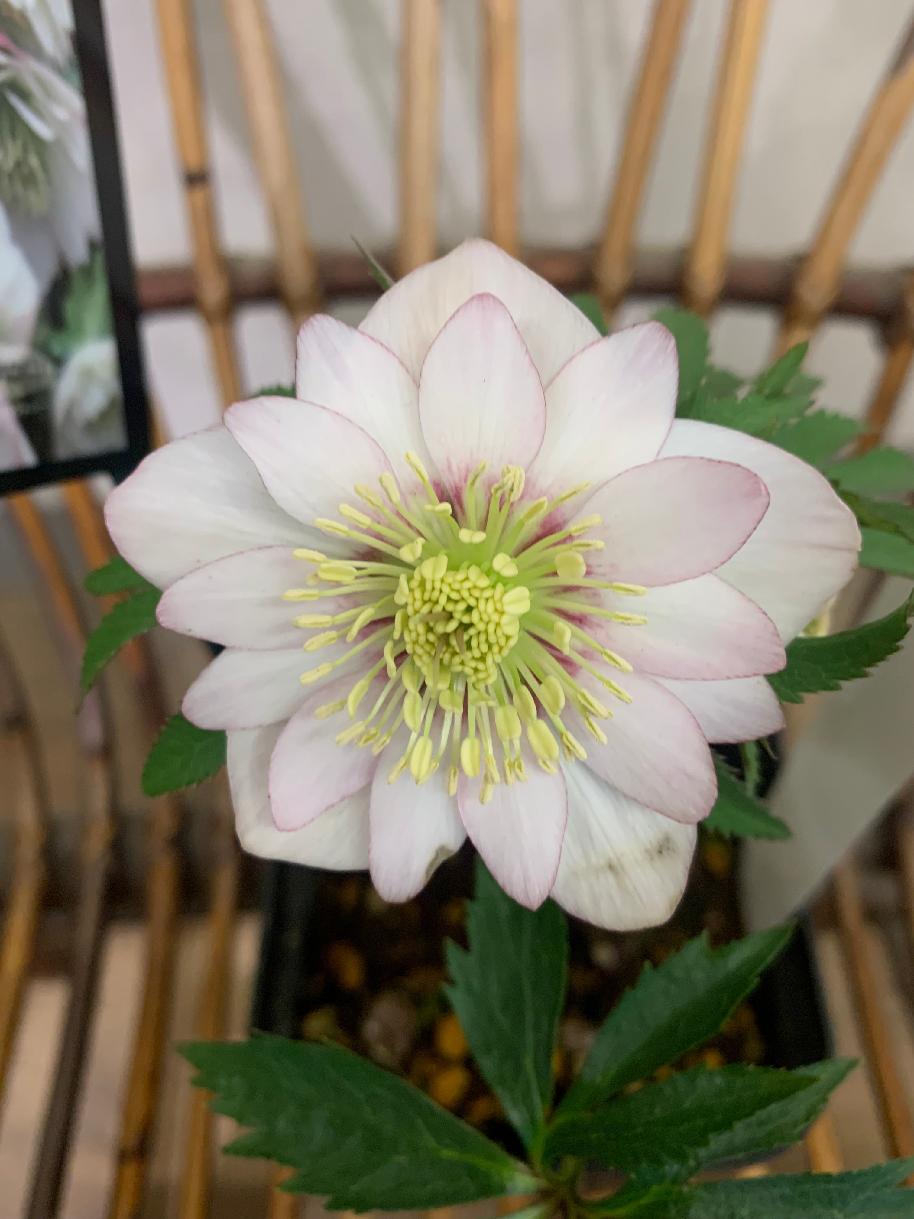 c53a56de3f07bd3df1ce8be62f8b23