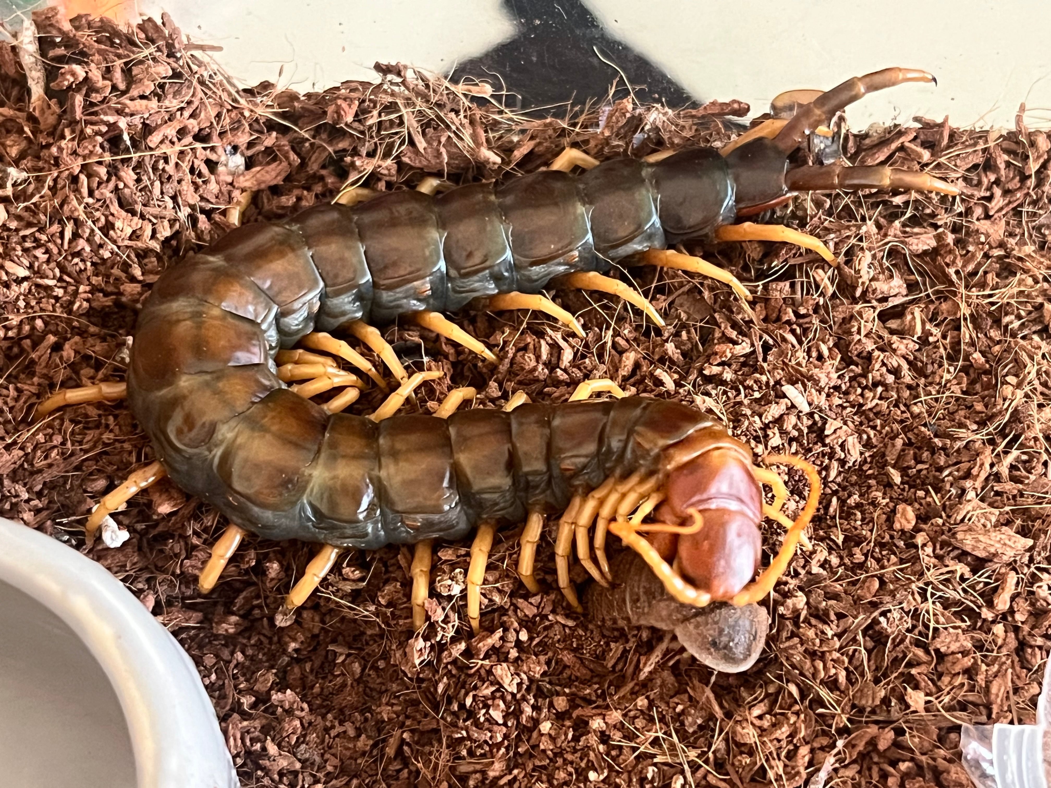 c5d63e5b25140cf237fa334fef427b