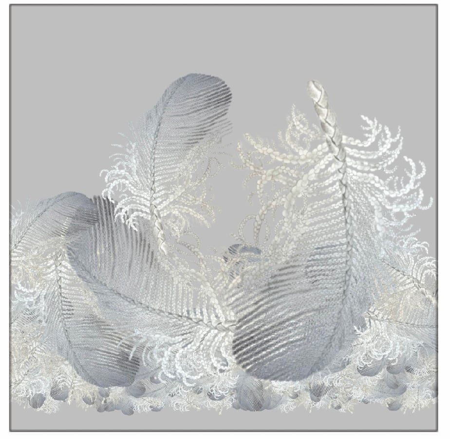 根橋洋一 ねばしよういち 鉛筆画「If I Fell」2017年 【公式通販】