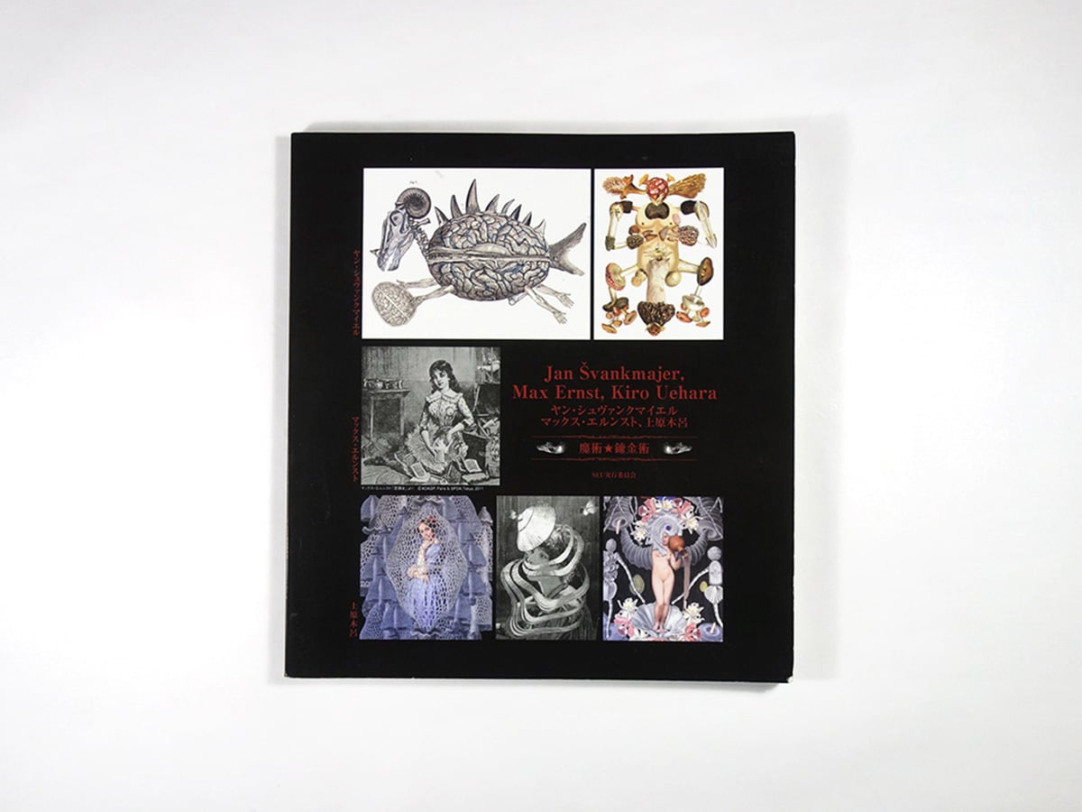 ヴィヴァン―新装版・25人の画家 (第17巻) ルソー ヴィヴァン―新装版・