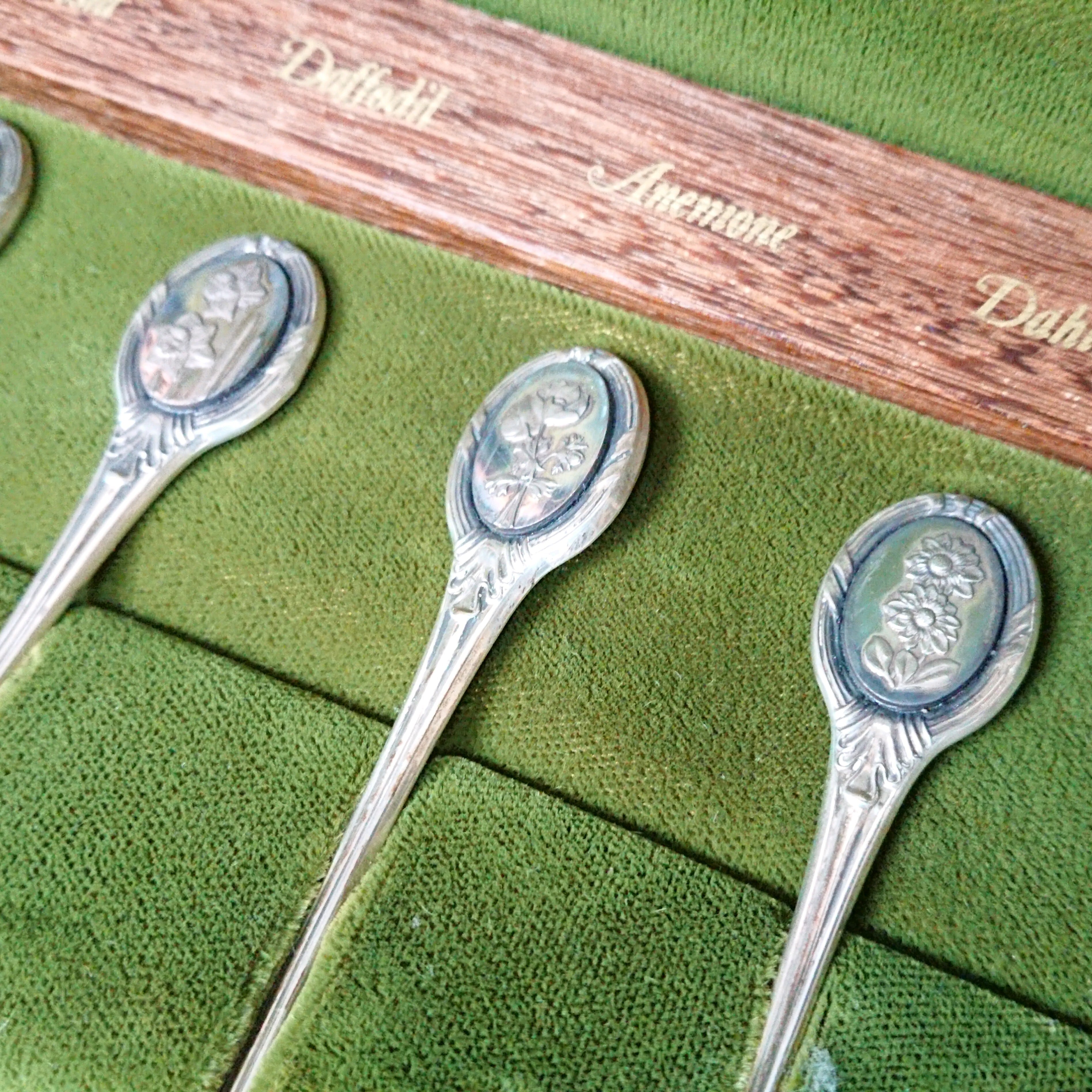 英国 王立園芸協会 純銀製スプーン12本set ホールマーク有