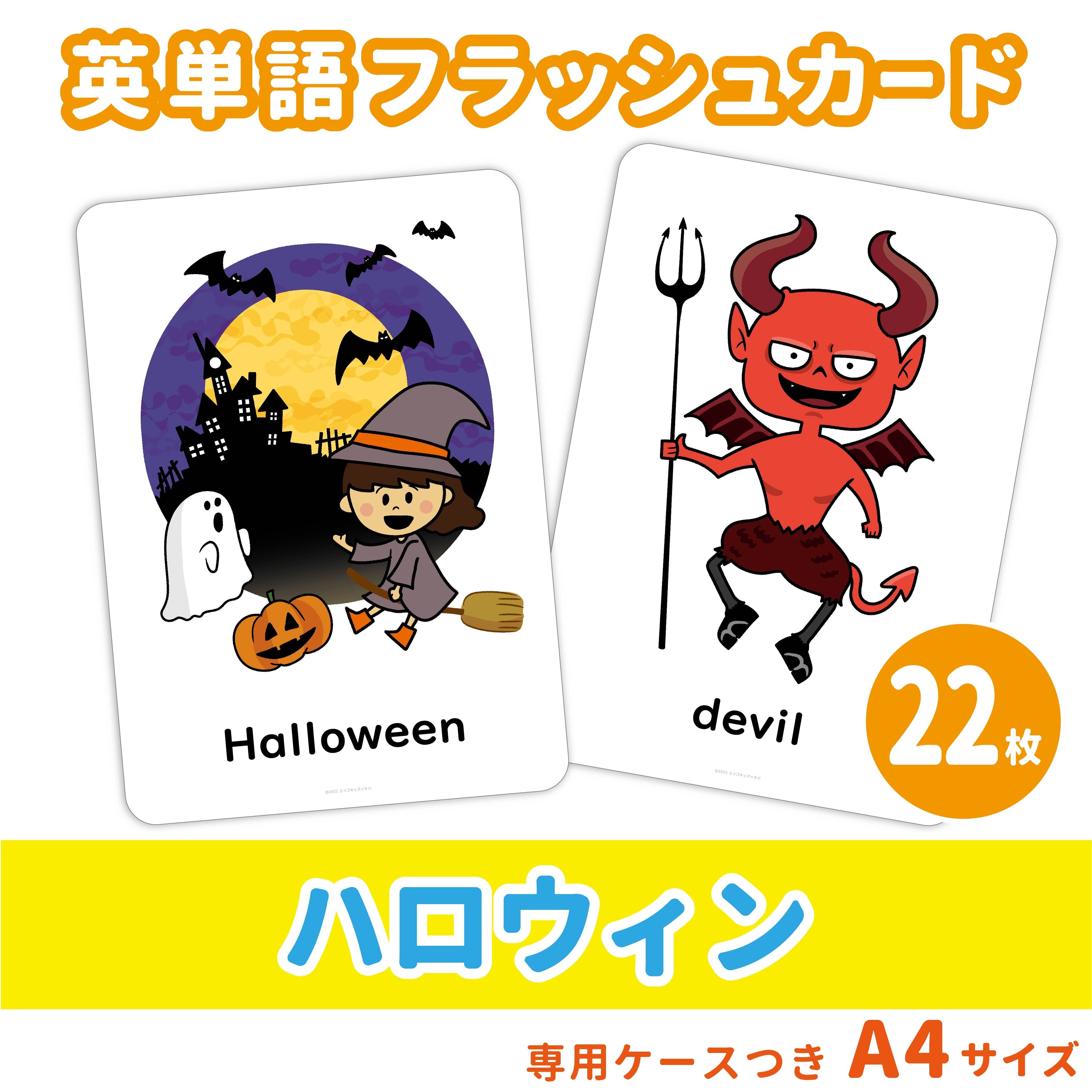 Picture Card & Idiom Card セット お子様向け英語教材 Picture Card