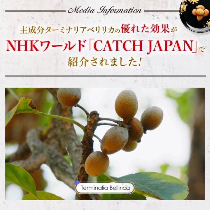 機能性表示食品】 ターミナリアファースト 4 (グルメサプリ) 3袋セット