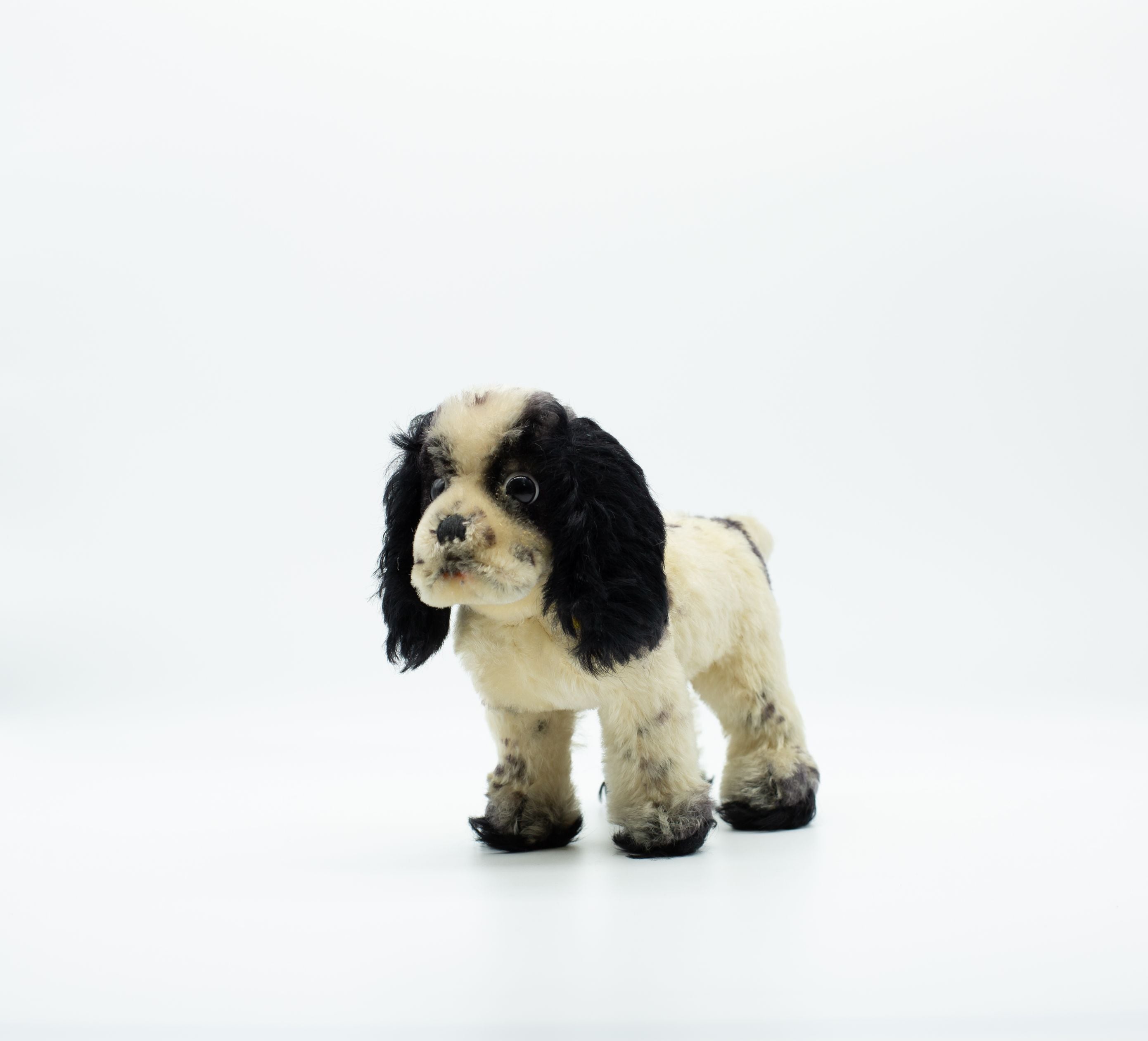 アンティークシュタイフ コッカースパニエル Steiff 「Cockie Cocker