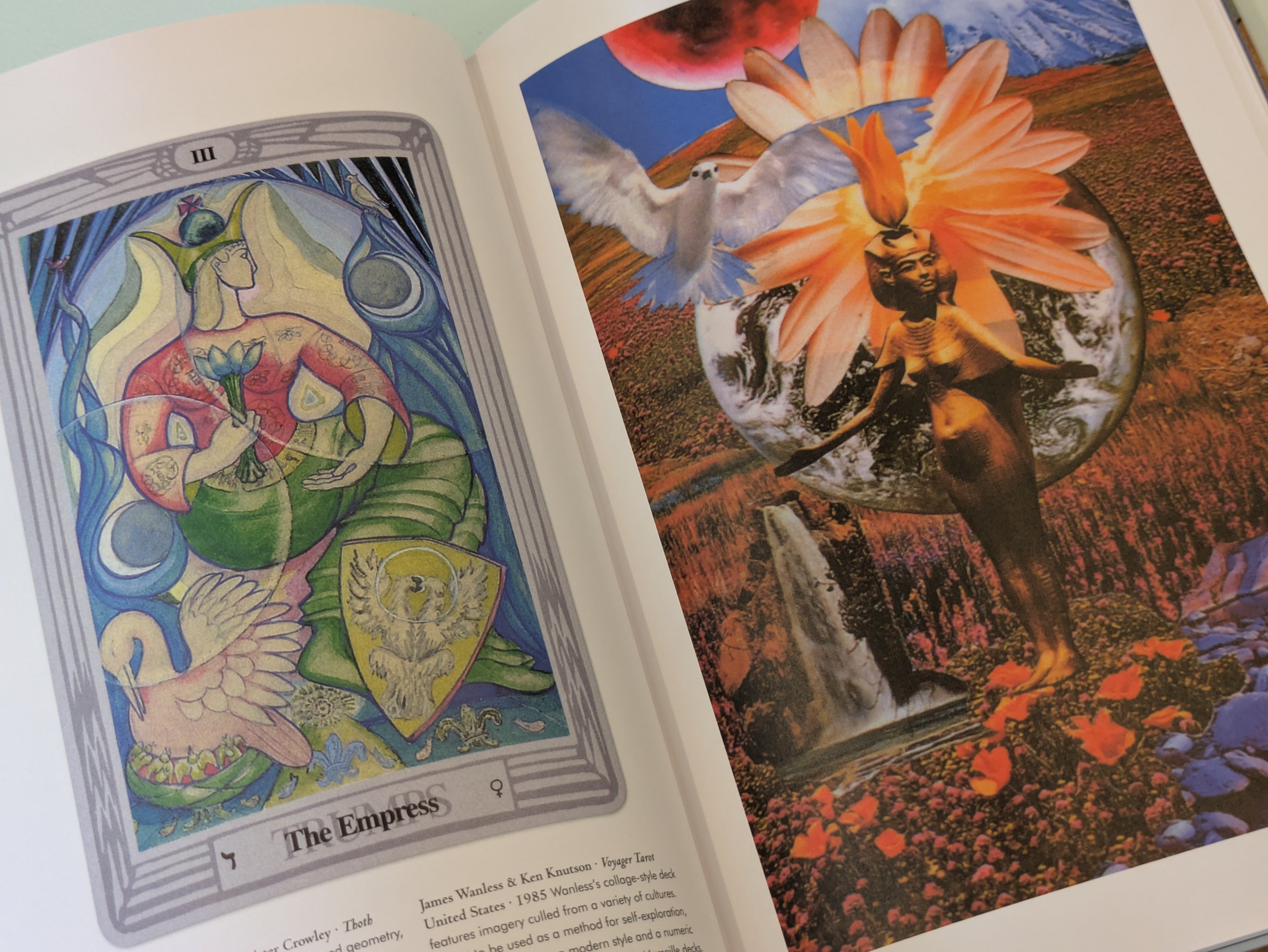Tarot : The Library of Esoterica / タロット | Photobooks on the