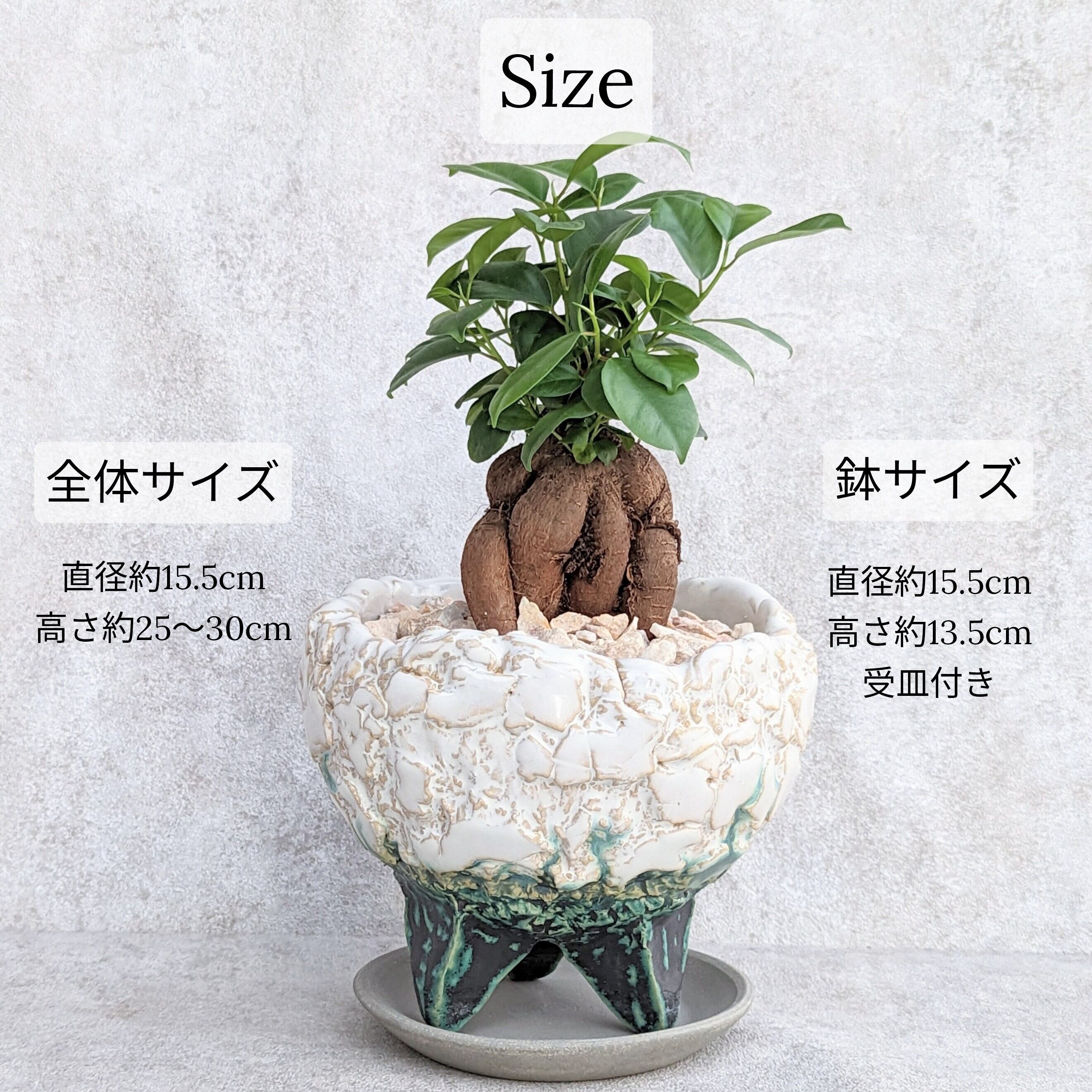 盆栽蜂超希少激レア松皮盆栽鉢時代3つ足山野草鉢草もの盆栽鉢置き物